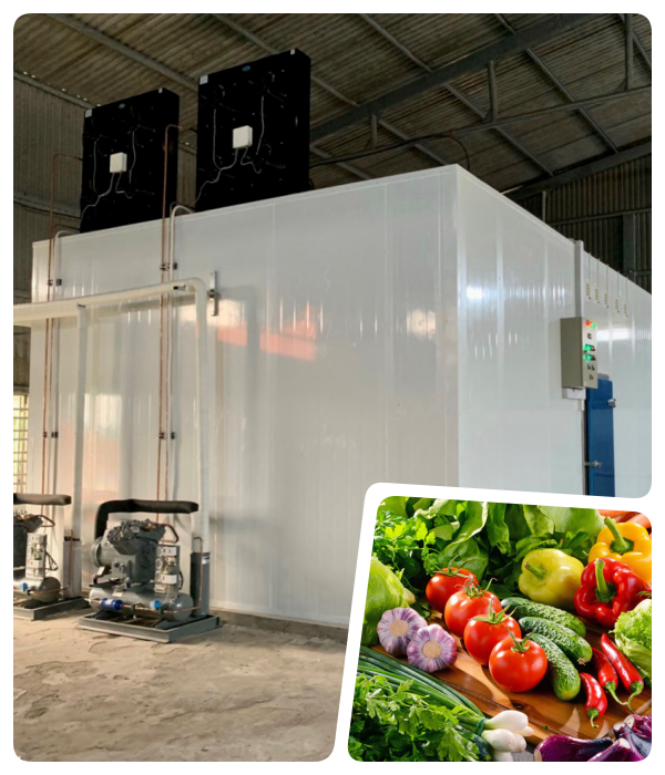 KHO LẠNH BẢO QUẢN NÔNG SẢN