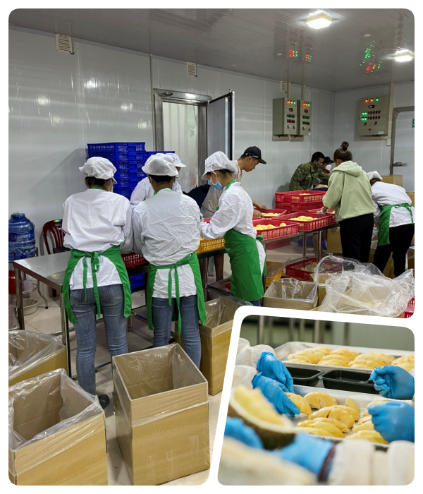 PHÒNG SẠCH SẢN XUẤT